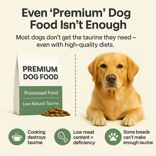 PawDuffy™  Dog Taurine